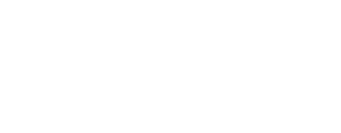 candia-logo